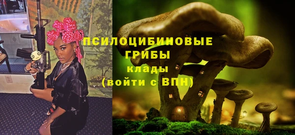 мяу мяу мука Абинск
