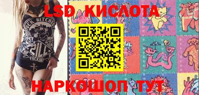Альфа ПВП Камень-на-Оби