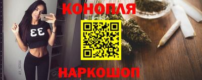 Альфа ПВП Камень-на-Оби