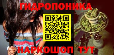 Альфа ПВП Камень-на-Оби