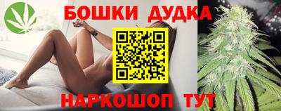 Альфа ПВП Камень-на-Оби