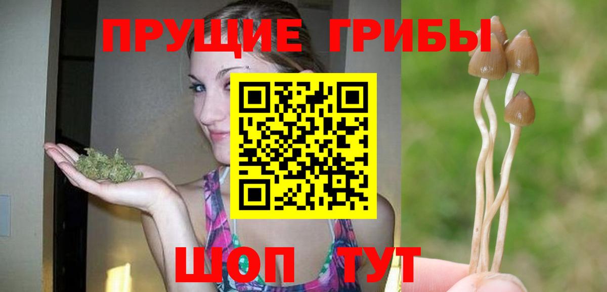 Раменское  Галлюциногенные грибы Psilocybe  наркотики  Вход с VPN 